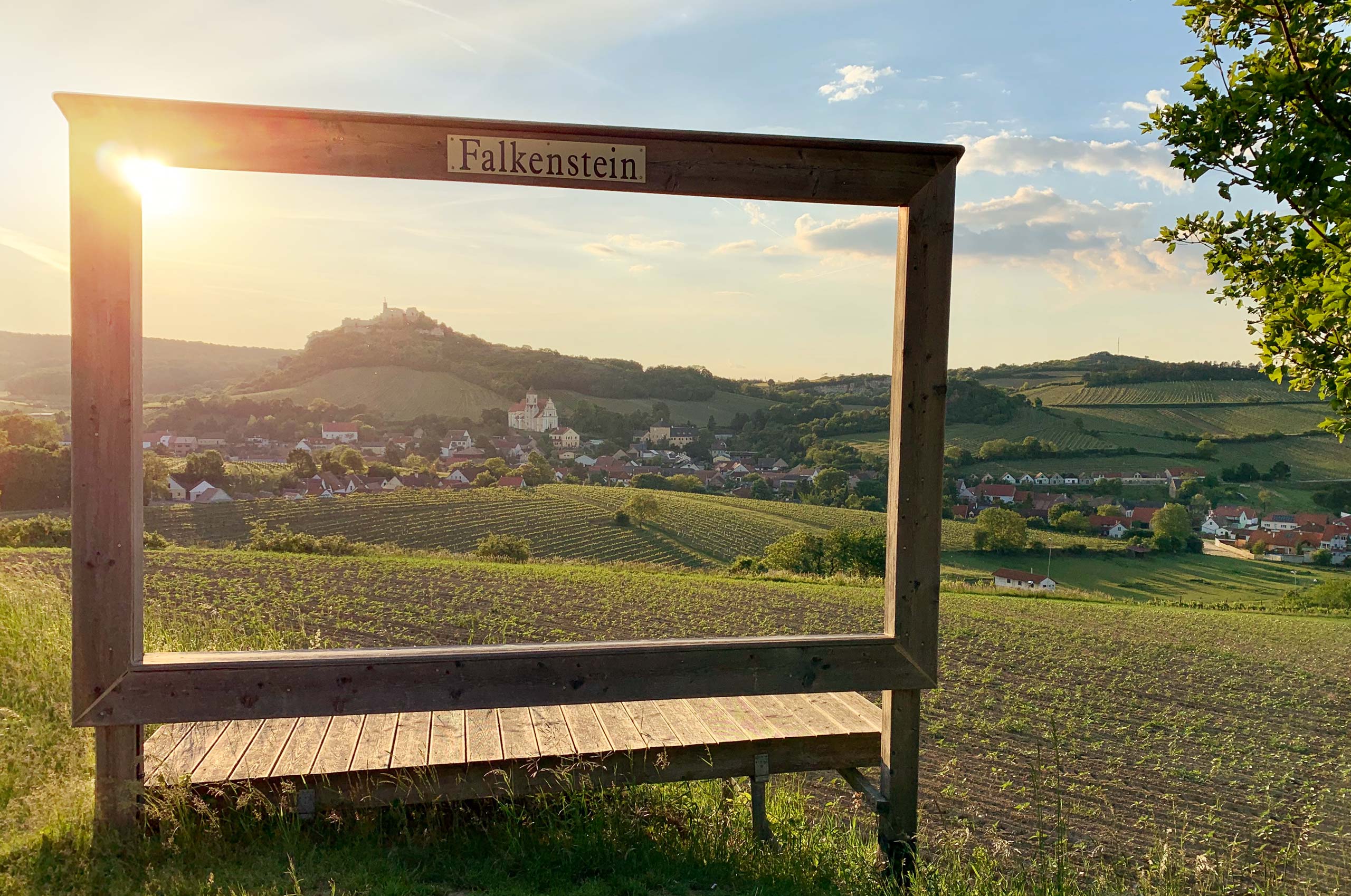 Urlaubsangebot Falkenstein Weinkultur erwandern