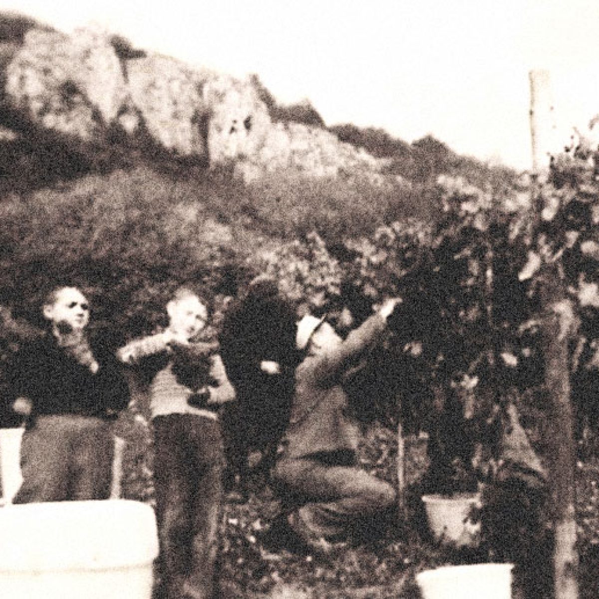 Weingut Stadler - Archivaufnahme